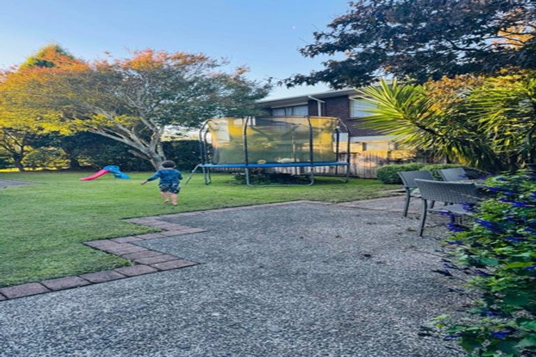 Photo of property in 41 Tower Road, Matamata, 3400