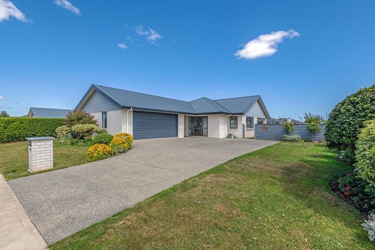 Photo of property in 19 Accolade Street, Feilding, 4702