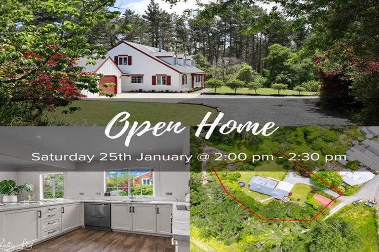 Photo of property in 3251 Paparoa-oakleigh Road, Paparoa, 0571