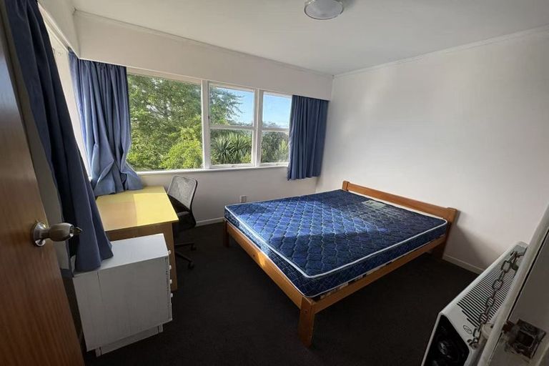 Photo of property in 92 Hillcrest Road, Hillcrest, Hamilton, 3216