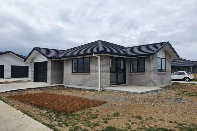 Photo of property in 69 Hinemoa Street, Levin, 5510