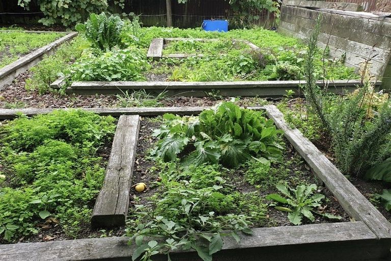 Photo of property in 41 Owen Road, Outer Kaiti, Gisborne, 4010