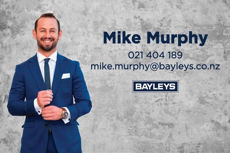 Photo of property in 14 Holland Street, Pukekohe, 2120