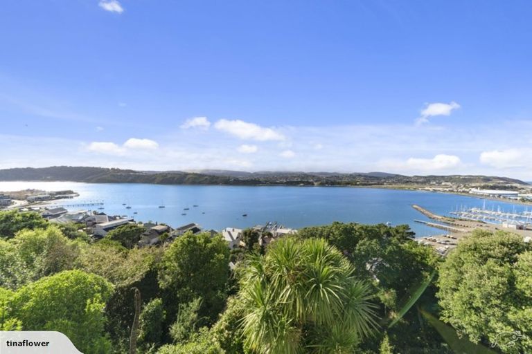Photo of property in 43 Overtoun Terrace, Hataitai, Wellington, 6021