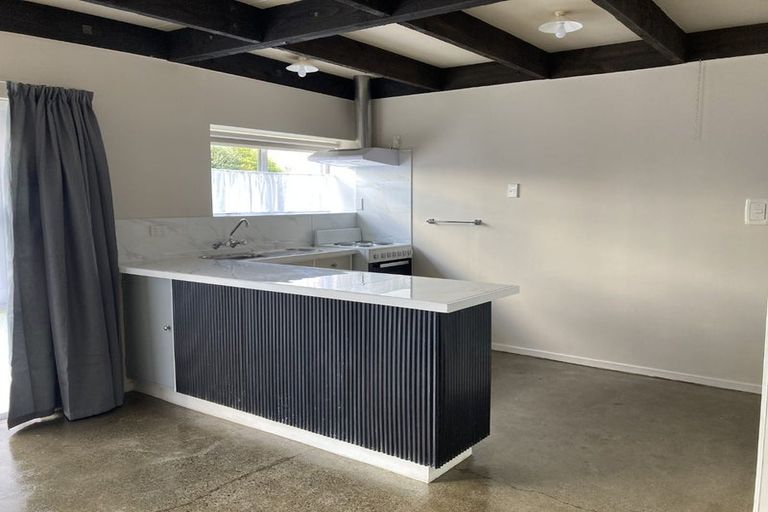 Photo of property in 119a Tiro Tiro Road, Levin, 5510