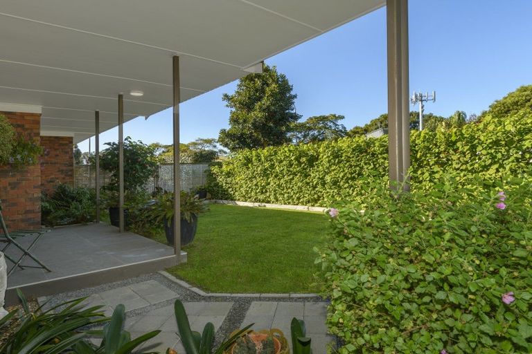 Photo of property in 264 Maungatapu Road, Maungatapu, Tauranga, 3112