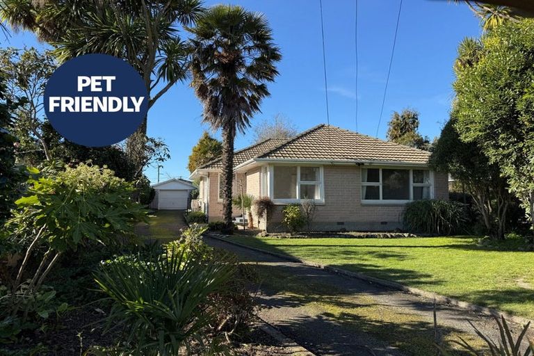 Photo of property in 26 Mavin Road, Hoon Hay, Christchurch, 8025