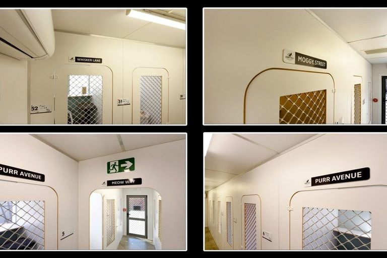 Photo of property in 740 Main Rd Stoke, Stoke, Nelson, 7011