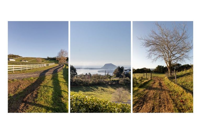 Photo of property in 15d Junction Road, Minden, Tauranga, 3176