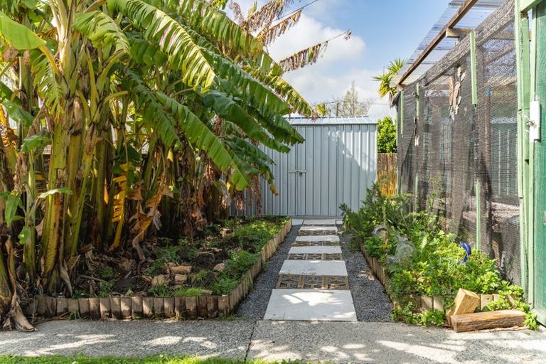 Photo of property in 4 Mali Street, Dargaville, 0310
