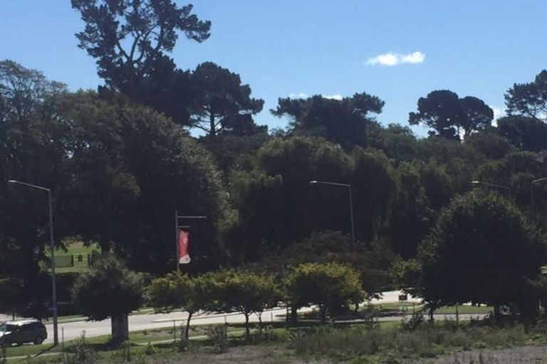 Photo of property in 25/15 Peterborough Street, Christchurch Central, Christchurch, 8013