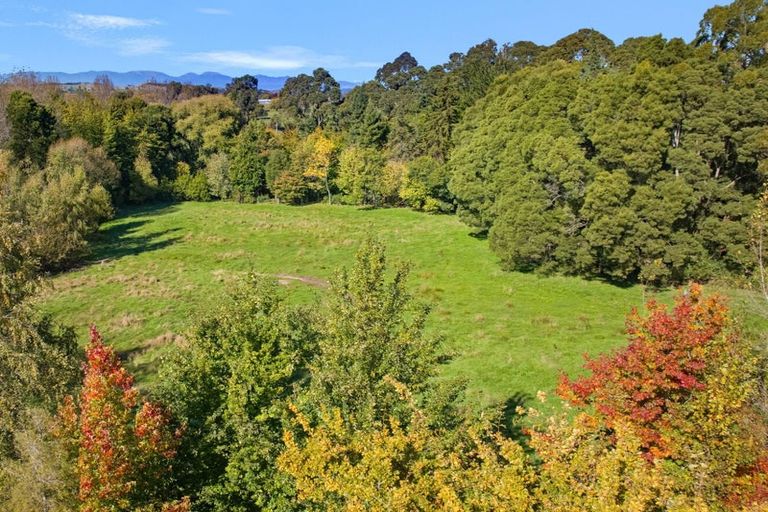 Photo of property in 248 Hursthouse Street, Lower Moutere, Upper Moutere, 7175