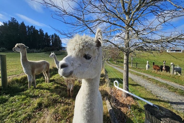 Photo of property in 626 Carrs Road, Loburn, Rangiora, 7472