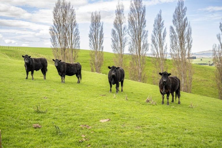 Photo of property in 226 Ongaonga Road, Waipawa, 4272