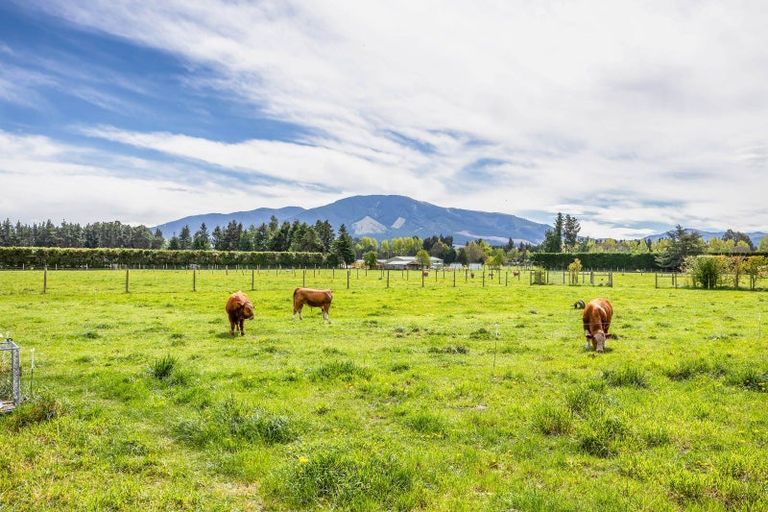 Photo of property in 21 Browns Road, Okuku, Rangiora, 7473