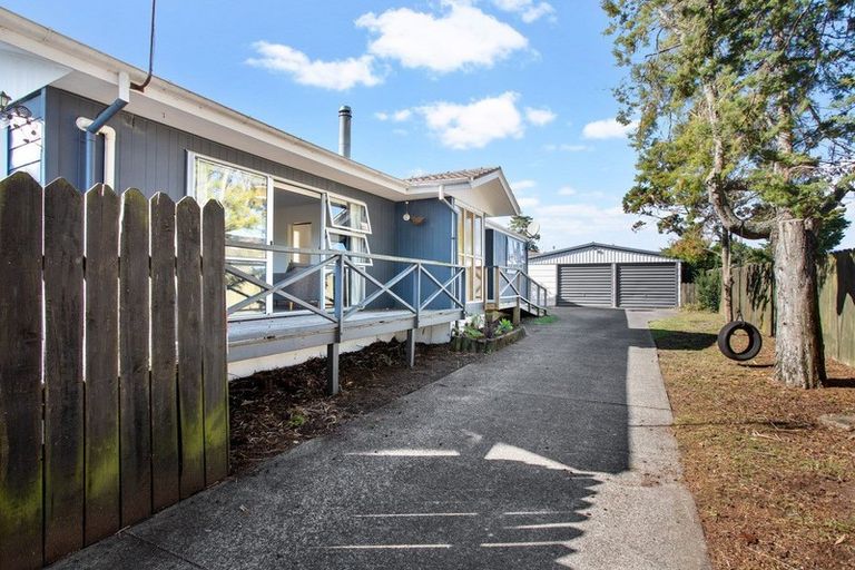 Photo of property in 10 Hinerau Street, Henderson, Auckland, 0612