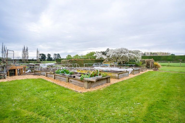 Photo of property in 79 Egerton Road, Winton, 9781