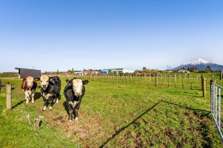 Photo of property in 60 Monmouth Road, Pembroke, Stratford, 4394