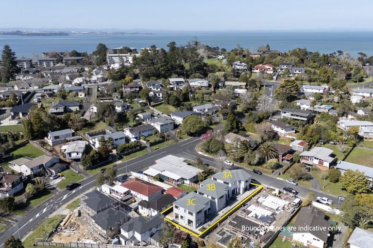 Photo of property in 3a Pendlebury Street, Green Bay, Auckland, 0604