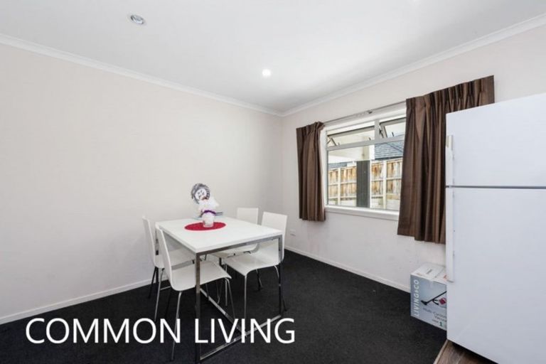 Photo of property in 19u3 Manning Street, Hamilton Central, Hamilton, 3204