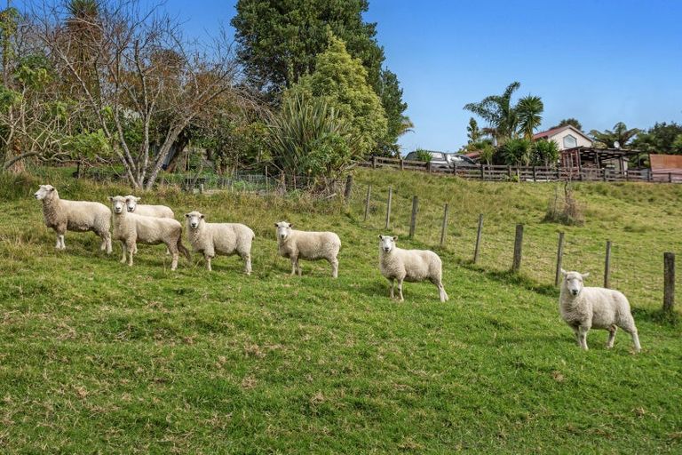 Photo of property in 281 Mccarthy Road, Waiotahe, Opotiki, 3198