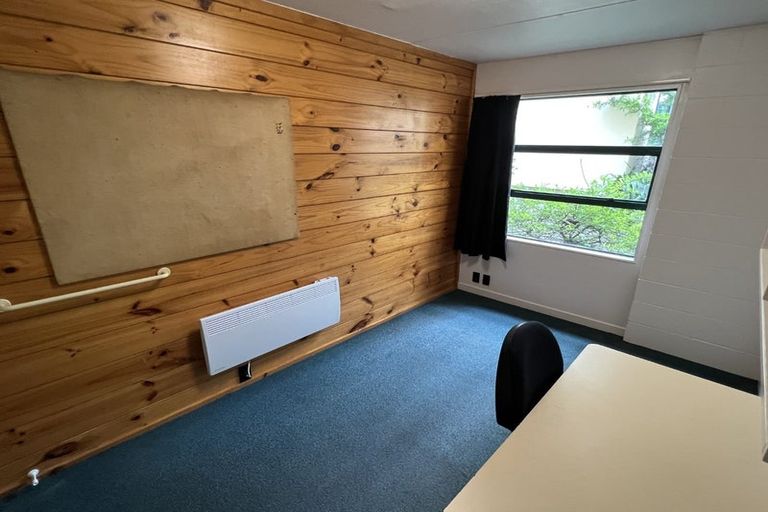Photo of property in Te Awhina Apartments, 19/22u Sussex Street, Mount Cook, Wellington, 6021
