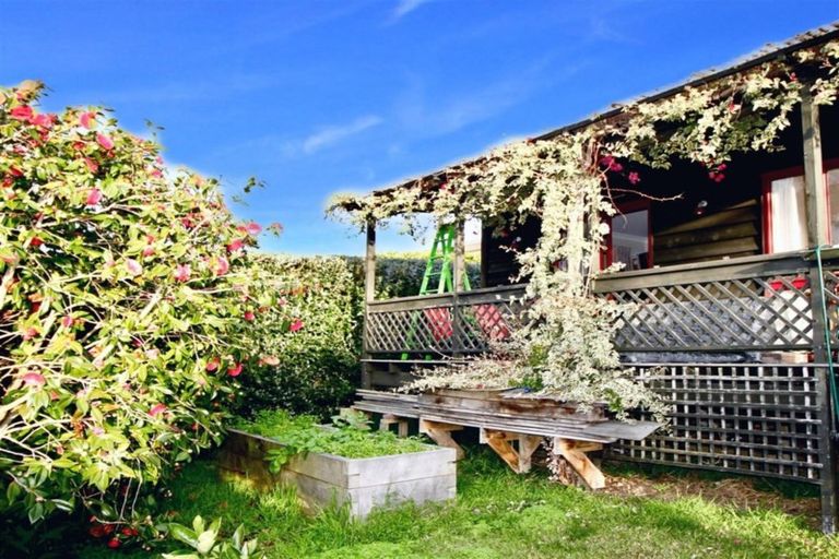 Photo of property in 28a Norton Road, Otumoetai, Tauranga, 3110