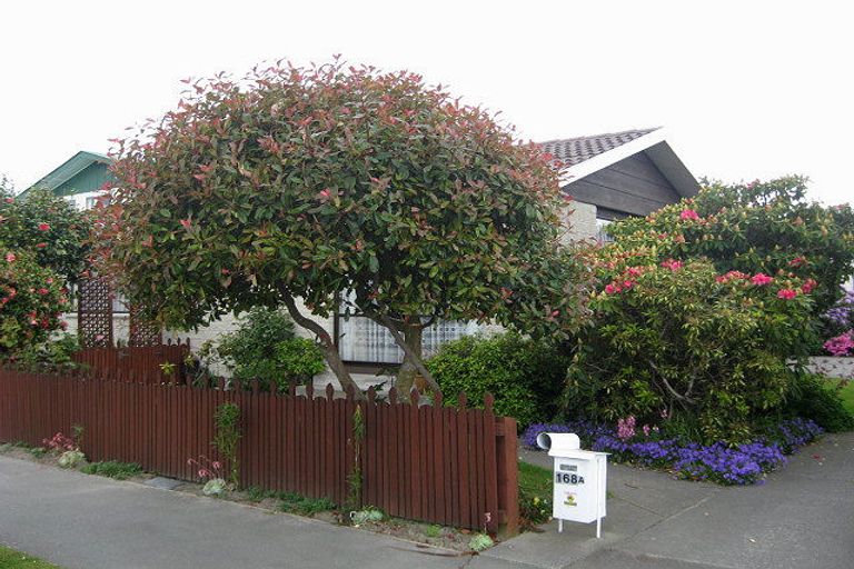 Photo of property in 168 Highsted Road, Casebrook, Christchurch, 8051