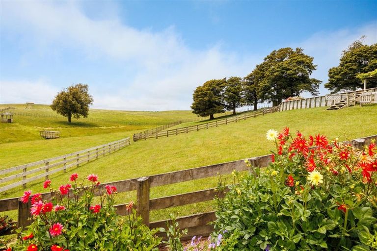 Photo of property in 361 Warrens Road, Marton, 4788