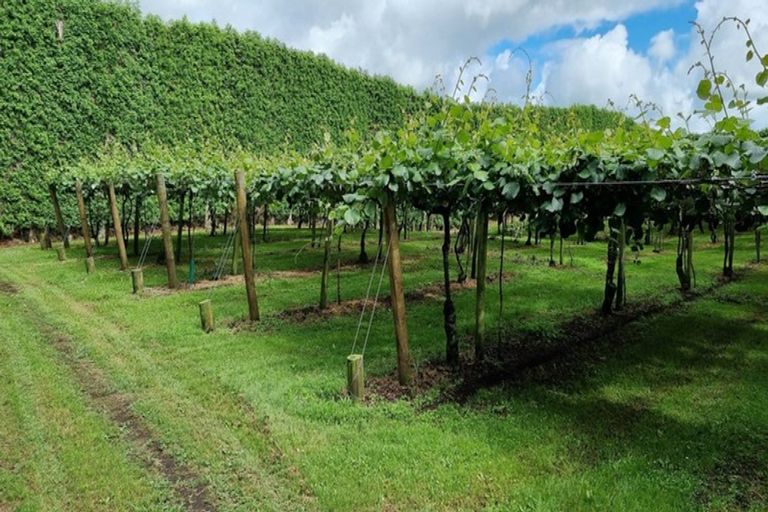 Photo of property in 84 Jensen Road, Omanawa, Tauranga, 3171
