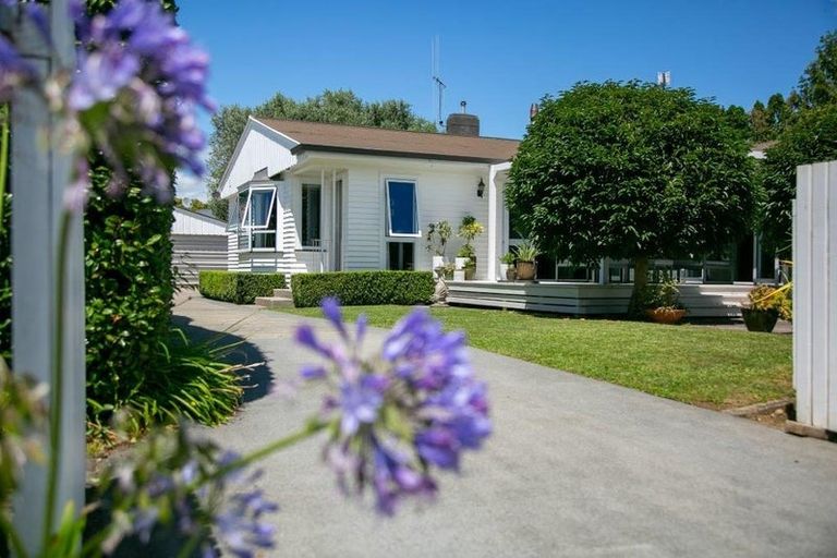 Photo of property in 39 King Street, Cambridge, 3434