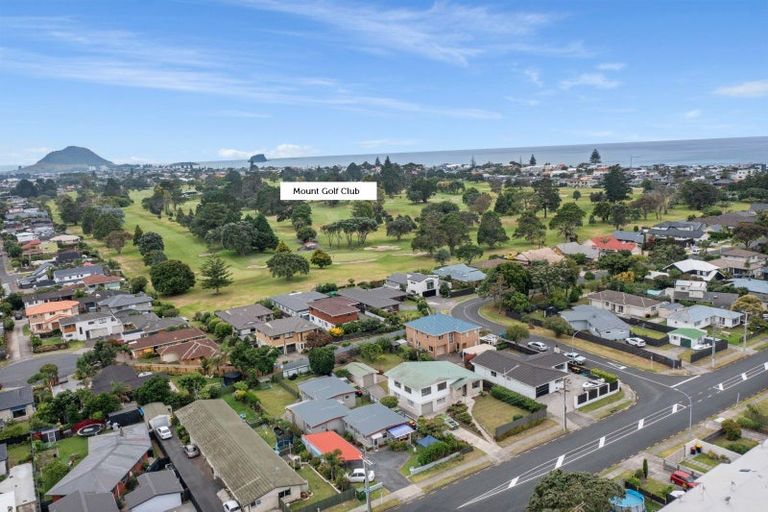 Photo of property in 45 Concord Avenue, Mount Maunganui, 3116