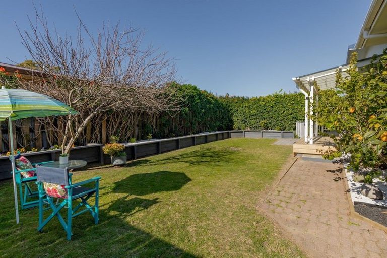 Photo of property in 91 Links Avenue, Mount Maunganui, 3116