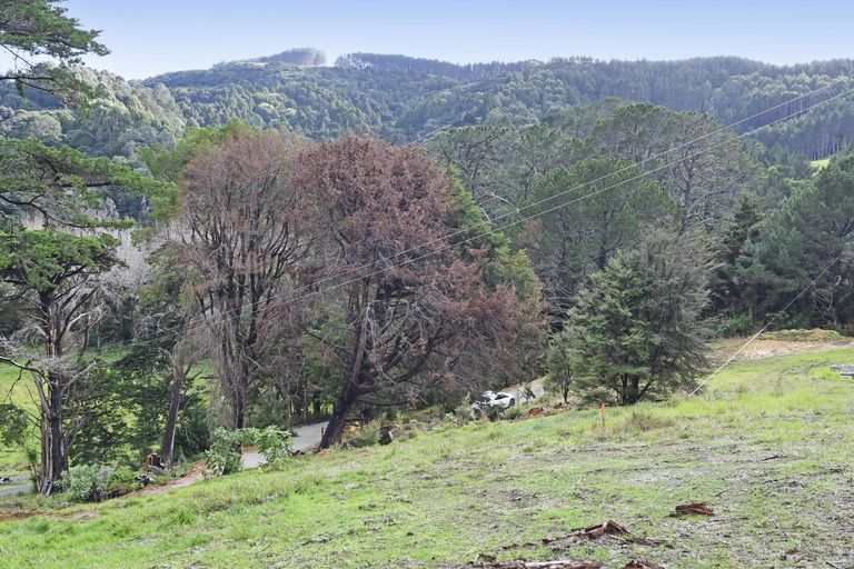 Photo of property in 99 Birdsall Road, Whangateau, 0985