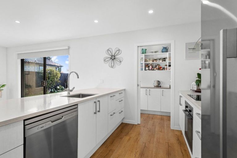 Photo of property in 23 Redhaven Rise, Netherby, Ashburton, 7700