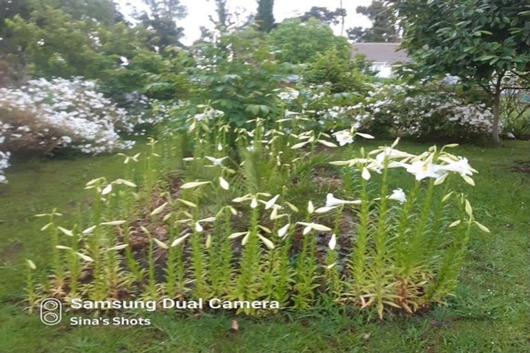 Photo of property in 56 Semple Street, Huntly, 3700