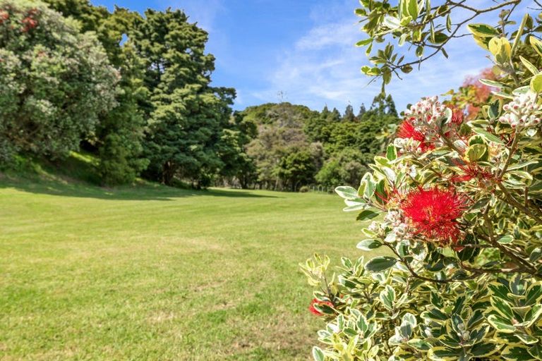 Photo of property in 856 Ocean View Road, Te Arai, Wellsford, 0975