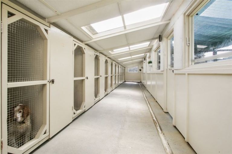 Photo of property in 381 Waihi Beach Road, Waihi, 3681