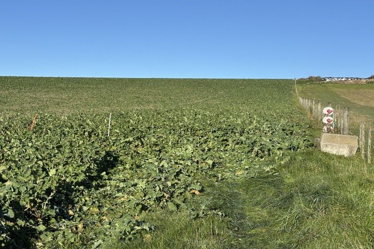 Photo of property in 16 Bay Road, Purakaunui, 9081