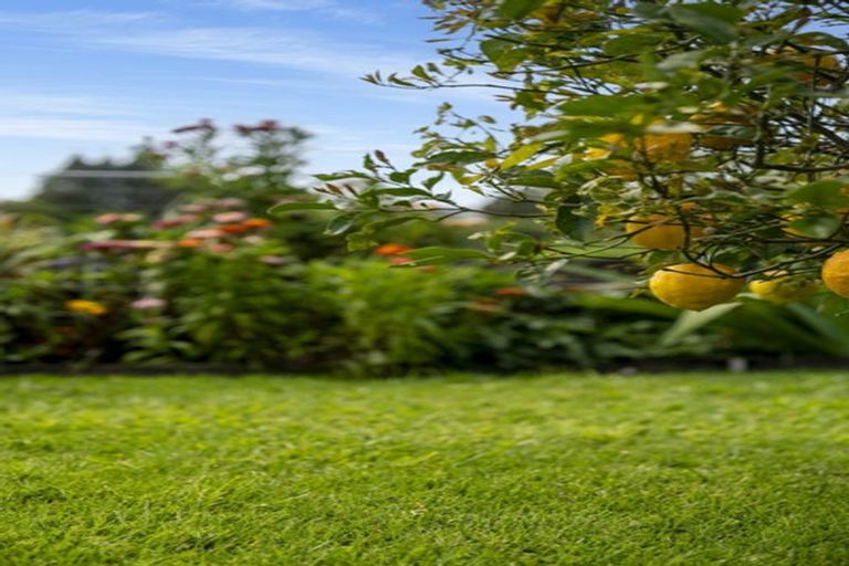 Photo of property in 35 Edgewater Grove, Whakatane, 3120