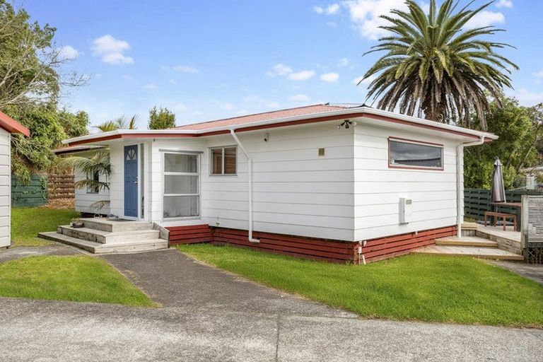 Photo of property in 40 Hinerau Street, Henderson, Auckland, 0612