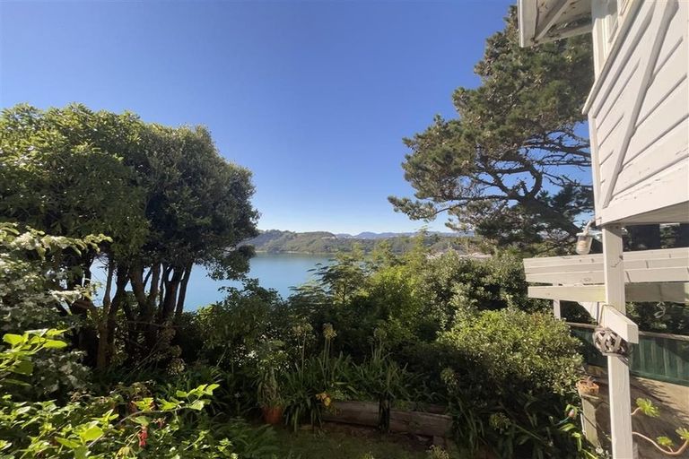 Photo of property in 12 Te Anau Avenue, Hataitai, Wellington, 6021