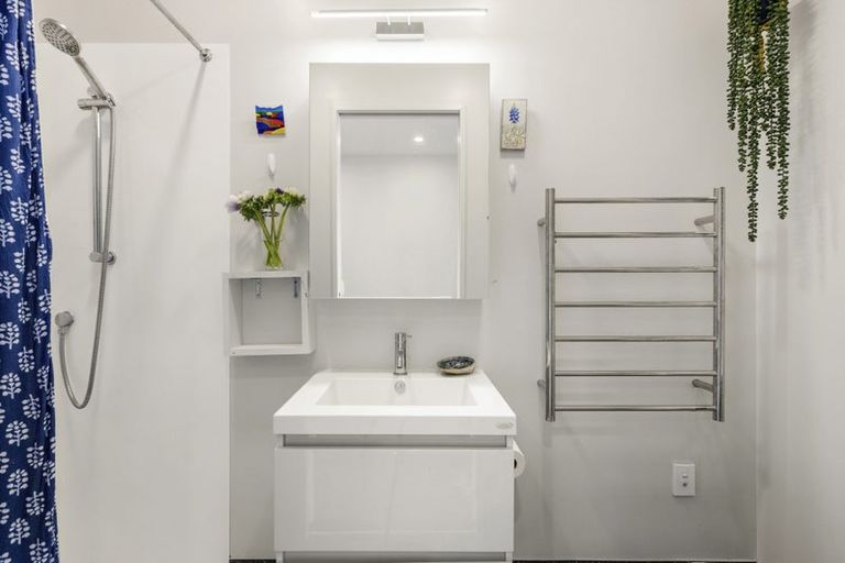 Photo of property in Aniva Terrace, 12 Arney Street, Newtown, Wellington, 6021