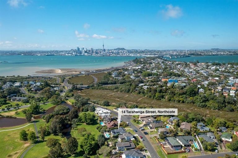 Photo of property in 14 Tarahanga Street, Northcote, Auckland, 0627