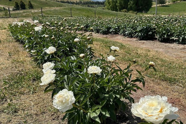 Photo of property in 218 Hawksburn Road, Nevis, Cromwell, 9384