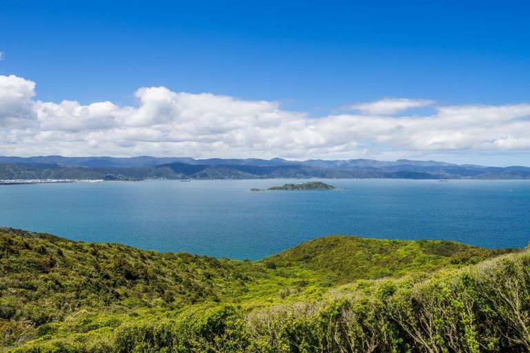 Photo of property in 31 Promontory Crescent, Newlands, Wellington, 6037