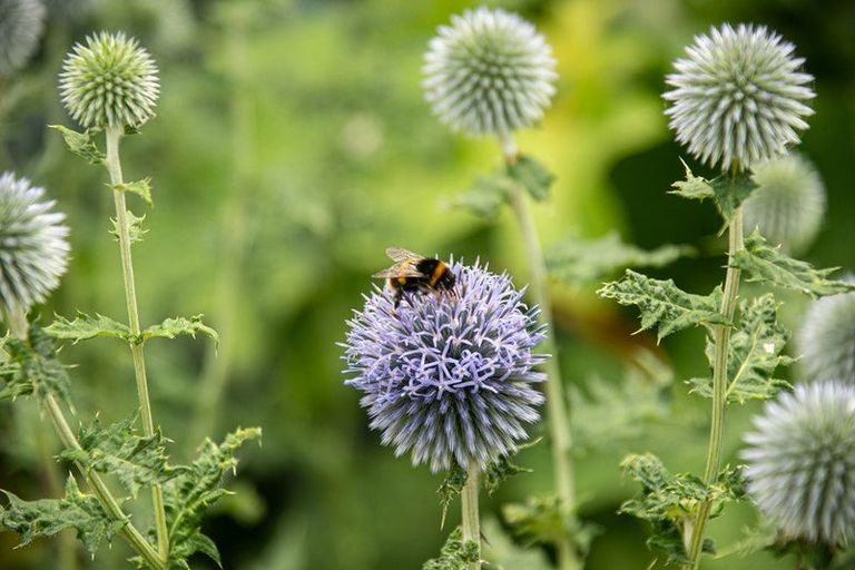 Photo of property in 52 Rayner Road, Huntly, 3700