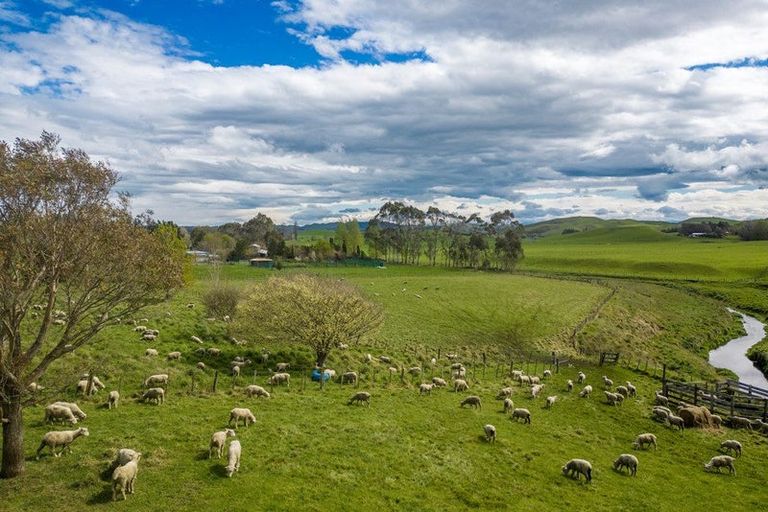 Photo of property in 425 Te Kura Road, Otane, 4277