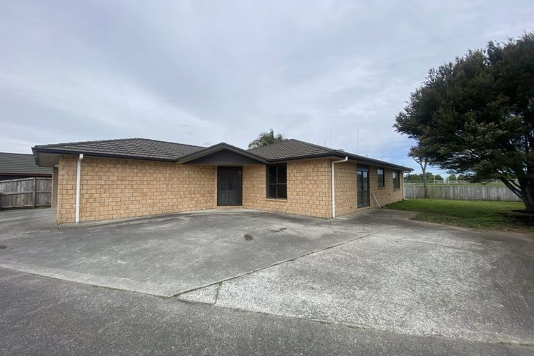 Photo of property in 17 Finchley Place, Hamilton East, Hamilton, 3216