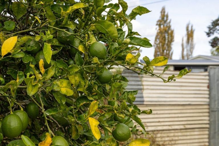 Photo of property in 31 Paki Street, Huntly, 3700